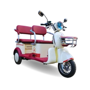 Trimoto Eléctrica Family C6S